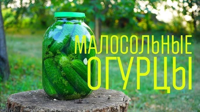 Малосольные огурцы! Всегда Хрустящие и вкусные! Уйдут в один Миг! Лучший рецепт малосольных огурцов!