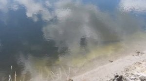 Река Ворона Воронежская область лучшие виды