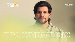 Какое питание лучше выбрать своему питомцу?