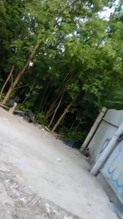 почистили мусорку