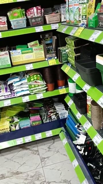 Fix Price, город Семей, садовые декорации #shorts смотреть онлайн