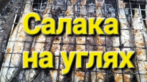 Салака на углях.