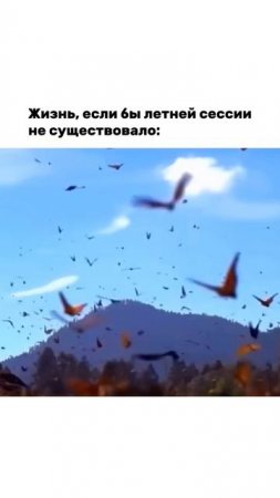 Жизнь была бы ярче...