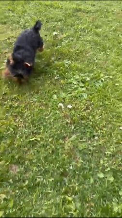 1000257702.mp4