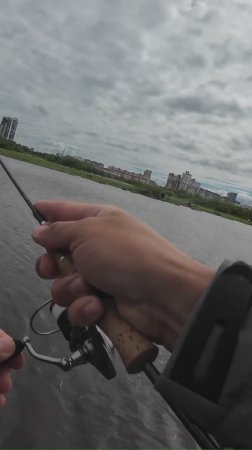 #мормышинг #рыбалка | ОГРОМНАЯ РЫБА |