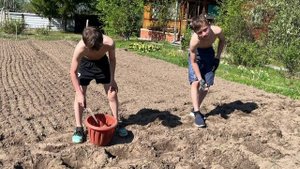 Правильное воспитание. Юмор и трудолюбие.