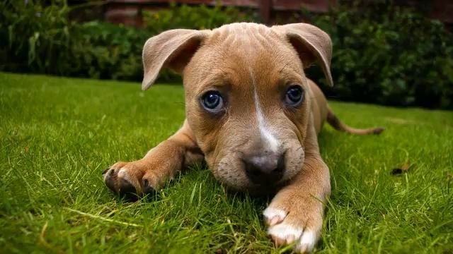 Сборник лучших русских песен с тв онлайн смотреть онлайн