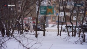 Снежное 21 ноября в Ижевске