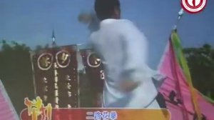 Вин Чун Чен Хуа Шуна форма: Ар Лу Хуа Цюань