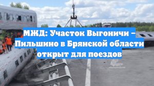 МЖД: Участок Выгоничи – Пильшино в Брянской области открыт для поездов