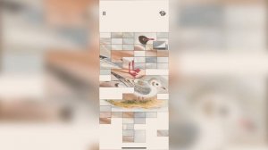 🖼️Art of Fauna #3