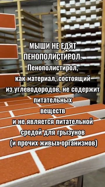 Почему мыши не едят термопанели ❓ смотреть онлайн