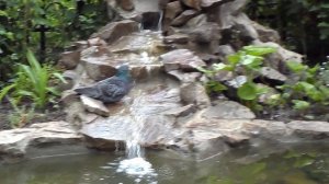 20 мая.2013.водопадик.