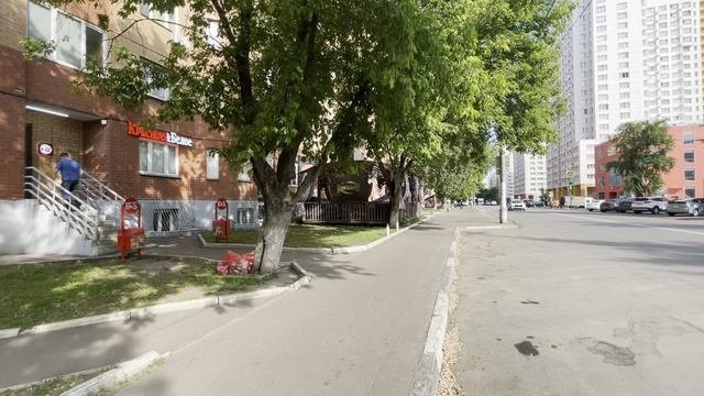 трафик