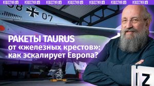 Эскалация по-европейски: Вассерман – о возможных поставках Украине ракет Taurus / Открытым текстом