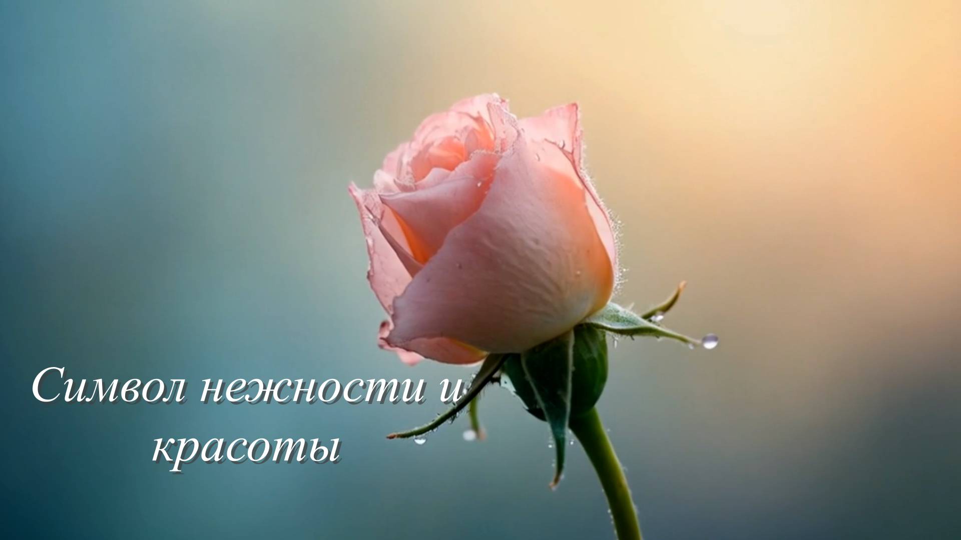 Цветы