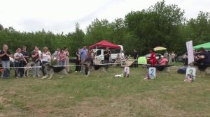 Расстановка класса чемпионов