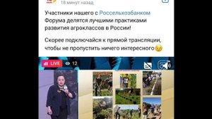 Лучший руководитель ОО в номинации "Сельская школа» Хударова Т.Ю.
