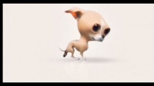 чихуахуа какает под грустную музыку