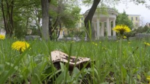 Выбираем объекты благоустройства. «Комфортная среда»