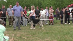 Демираль Ураган