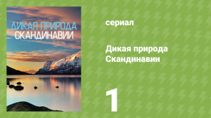 Дикая природа Скандинавии 1 серия «Жизнь на краю» (документальный сериал, 2023)