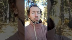 Рак. Опухоль - это только симптом. Важно устранить причину.