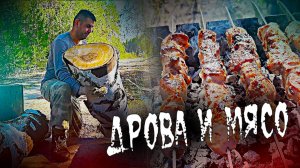 ЗАГОТОВИЛ БЕРЁЗОВЫХ ДРОВ И НАЖАРИЛ ШАШЛЫКА ИЗ СВИНИНЫ / ВОТ И ВСЯ ЛЮБОВЬ ЖИЗНИ В ДЕРЕВНЕ