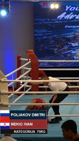 Лучшие нокауты Подпишись и ставь лайк #ufc #mma #youtube #sports #tiktok #shortsvideo #russia #box