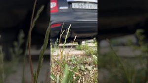 Выхлоп гранта спорт  на приоре !