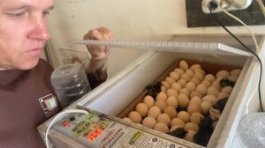 Пополнение !!! жизнь в селе