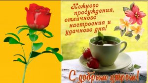 УТРО... ДОБРОЕ УТРО