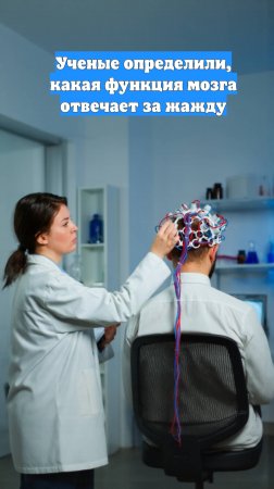 Ученые определили, какая функция мозга отвечает за жажду