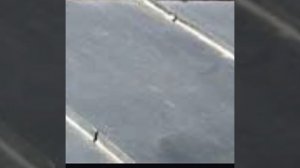 💪ПУТЕВОДИТЕЛЬ ПО ФАЛЬЦУ ДЛЯ НОВИЧКОВ