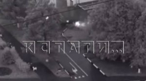 Пьяный водитель на «Мерседесе» разгромил сквер на Бору