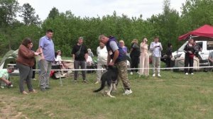 Ольберс Космический Гость
