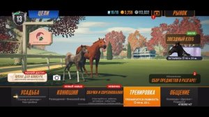 Rival Stars Horse Racing mobile. Создаю свой клуб!