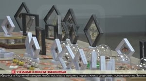 Узнавая о жизни насекомых 30.05.2025