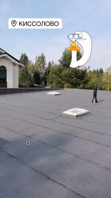 Киссолово 💪 #кровля #стройка #крыша #дом #строительст смотреть онлайн