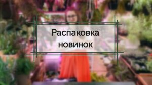 Распаковка цветочных новинок. Запись трансляции. Май 2025
