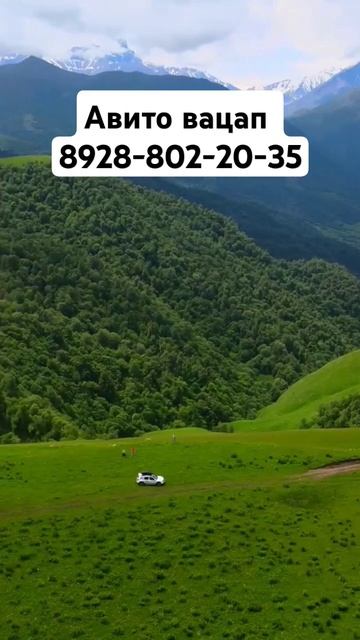 Авито Вацап , авто объявления в статусах, + есть группа смотреть онлайн