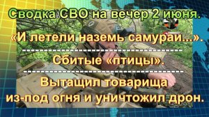 Сводка СВО на вечер 2 июня. Российская армия подходит все ближе к Сумам