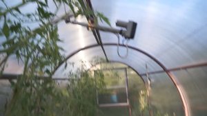Автоматическая форточка для теплицы