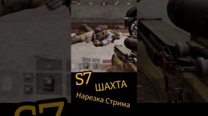 Арена Шахта кормит