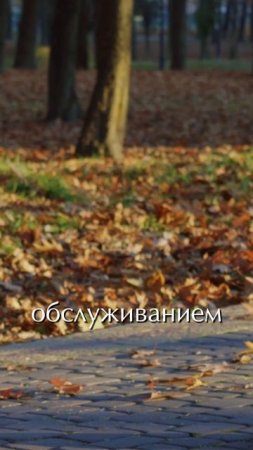 Управляющая компания Terra Vitae