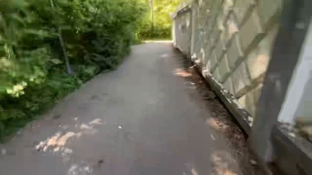 Эко-Терапия: Как Лес Лечит Душу | Моя Прогулка смотреть онлайн