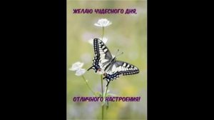 ХОРОШЕГО ДНЯ И ОТЛИЧНОГО НАСТРОЕНИЯ