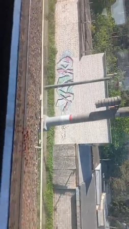scene_output.mp4