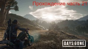 DG часть 21