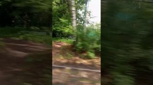 Столько чудесных, удивительных мест можно увидеть, в поездке на трамвае